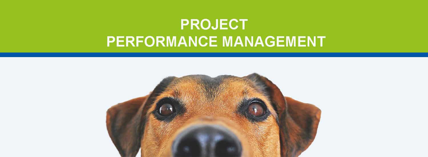 Project Performance Management Blog Header