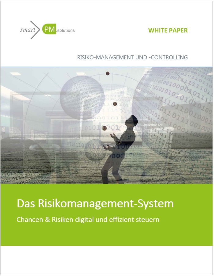 Risikomanagement Risikocontrolling Whitepaper Cover