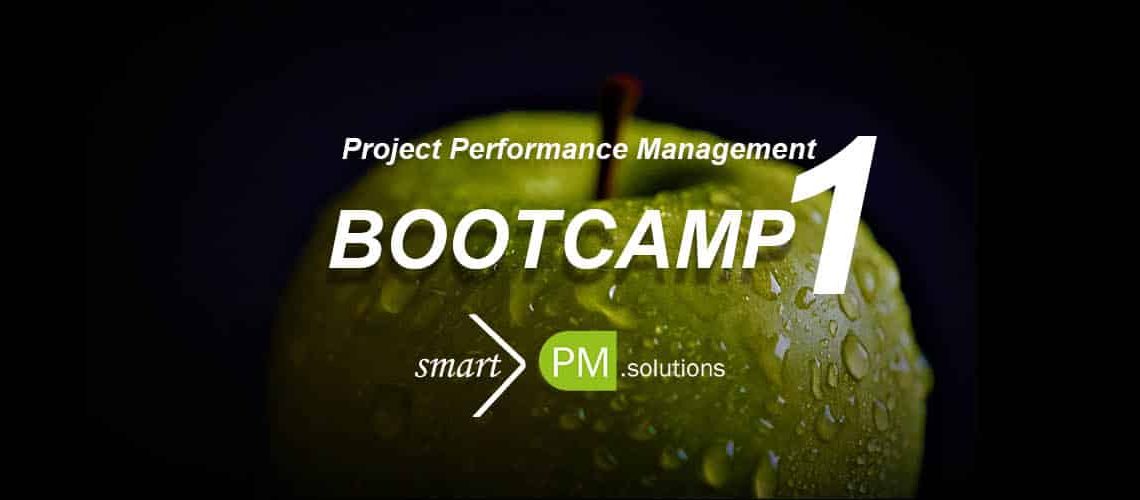 Project Performance Management Bootcamp 1 smartPM.solutions